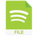 Spotify File icon